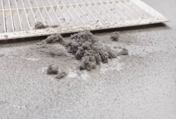 Best Home Air Vent Cleaning  in Buzzards Bay, MA